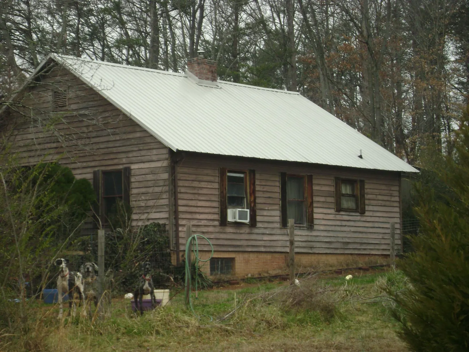 White metal roof on an old wood sided farmhouse, from a Asphalt Shingle Roof Repair job in Kanab